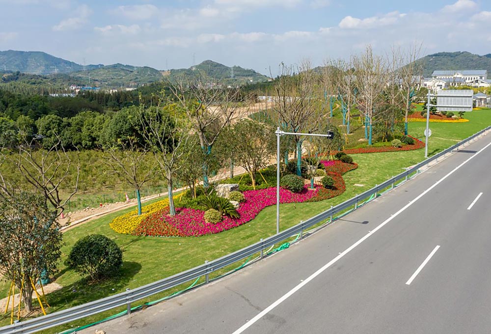 S12 妙西枢纽绿化景观工程EPC项目